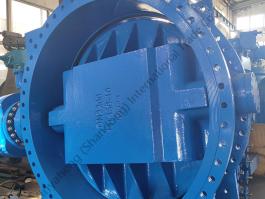 DN100 PN10/PN16 Worm Gear Driven Flange Double Eccentric Butterfly Valve